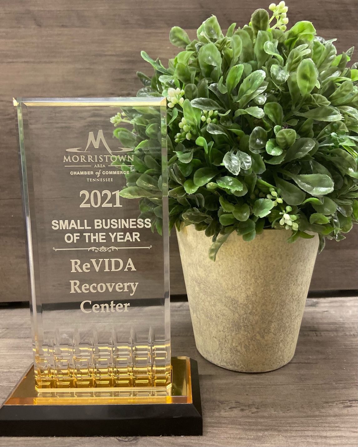 Small Business of The Year - ReVIDA Recovery